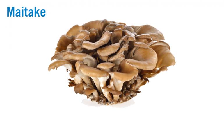 Maitake