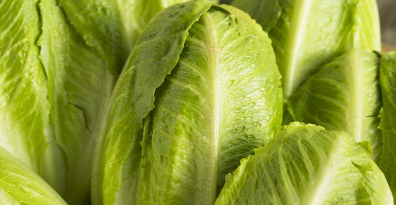 Romaine lettuce-GettyImages-654787830.jpg