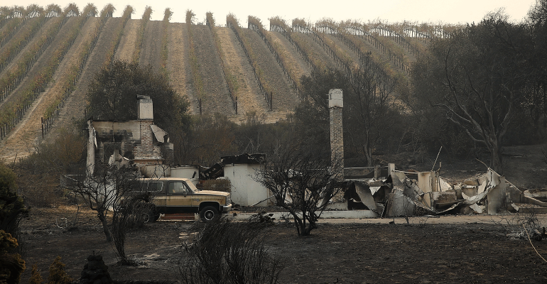 california vineyard