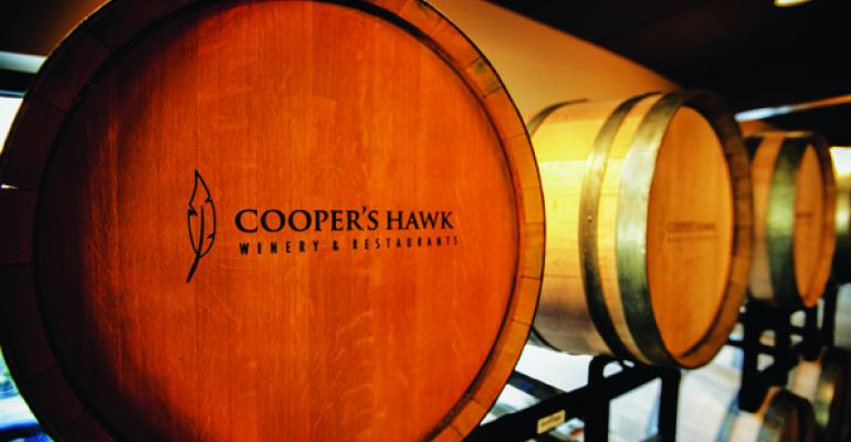 coopers hawk