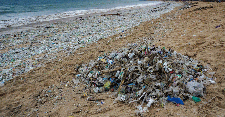 trash-on-beach.gif