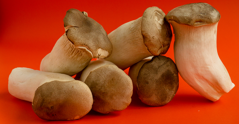 trumpet-mushrooms-flavor-of-the-week.png