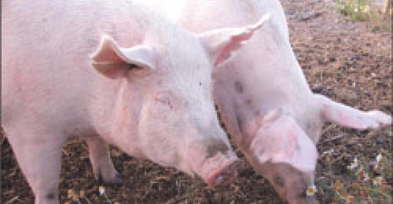 Despite high feed prices, pork production escalates
