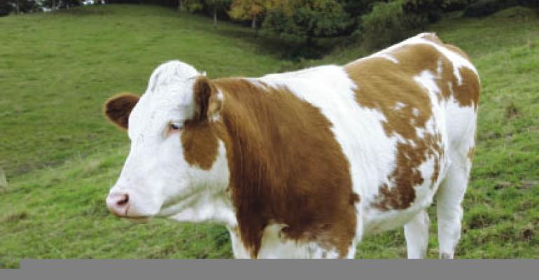 Tighter supplies to drive 2012 beef prices