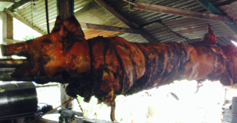 Crawling for pork in Puerto Rico