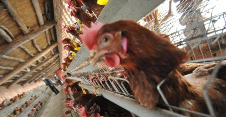 Is it time to worry about bird flu?