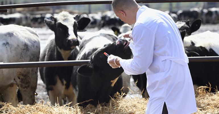 California poised to ban routine use of antibiotics in livestock