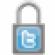 Padlock with Twitter icon