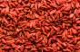 goji berries fow.jpg