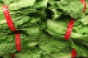 romaine_lettuce_heads_in-store_closeup.gif