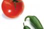 Mixed news on produce safety front, speakers indicate at PMA conference