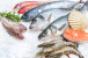 Report: Seafood consumption declines