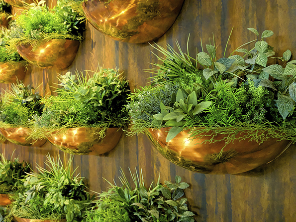 herb wall